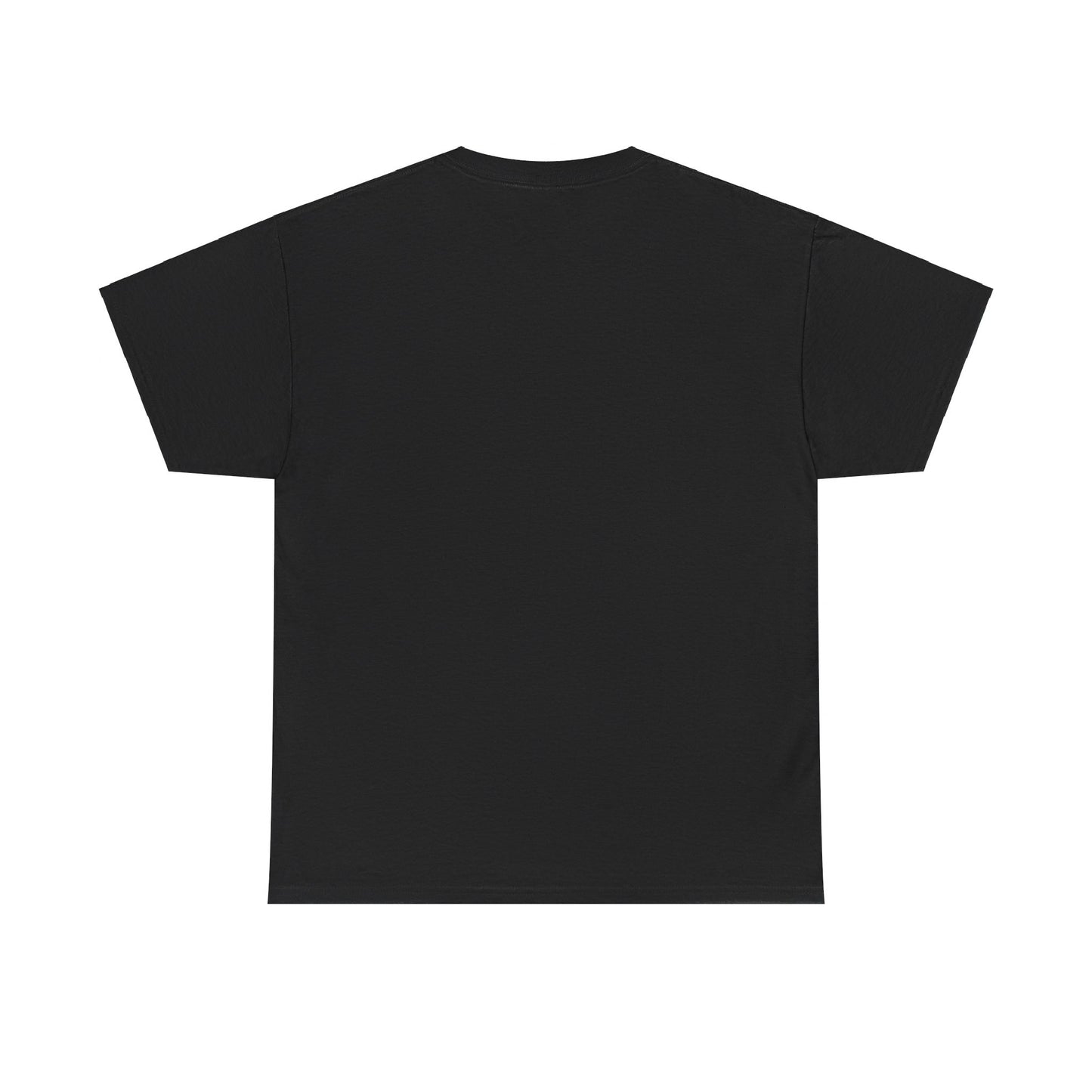 "HOBOSOHO" YOUR AURA IS A VIBE Heavy Cotton Tee