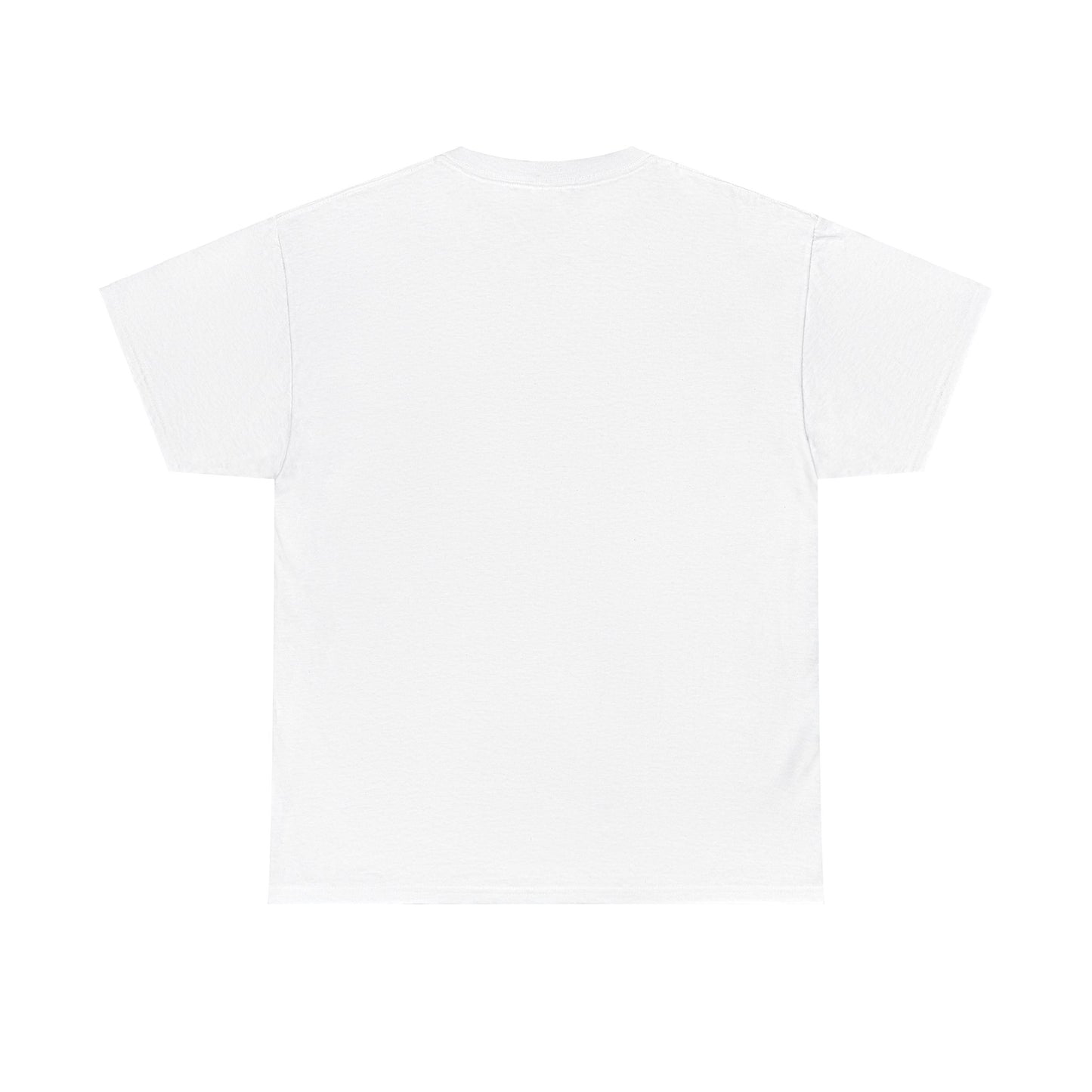 "HOBOSOHO" YOUR AURA IS A VIBE Heavy Cotton Tee